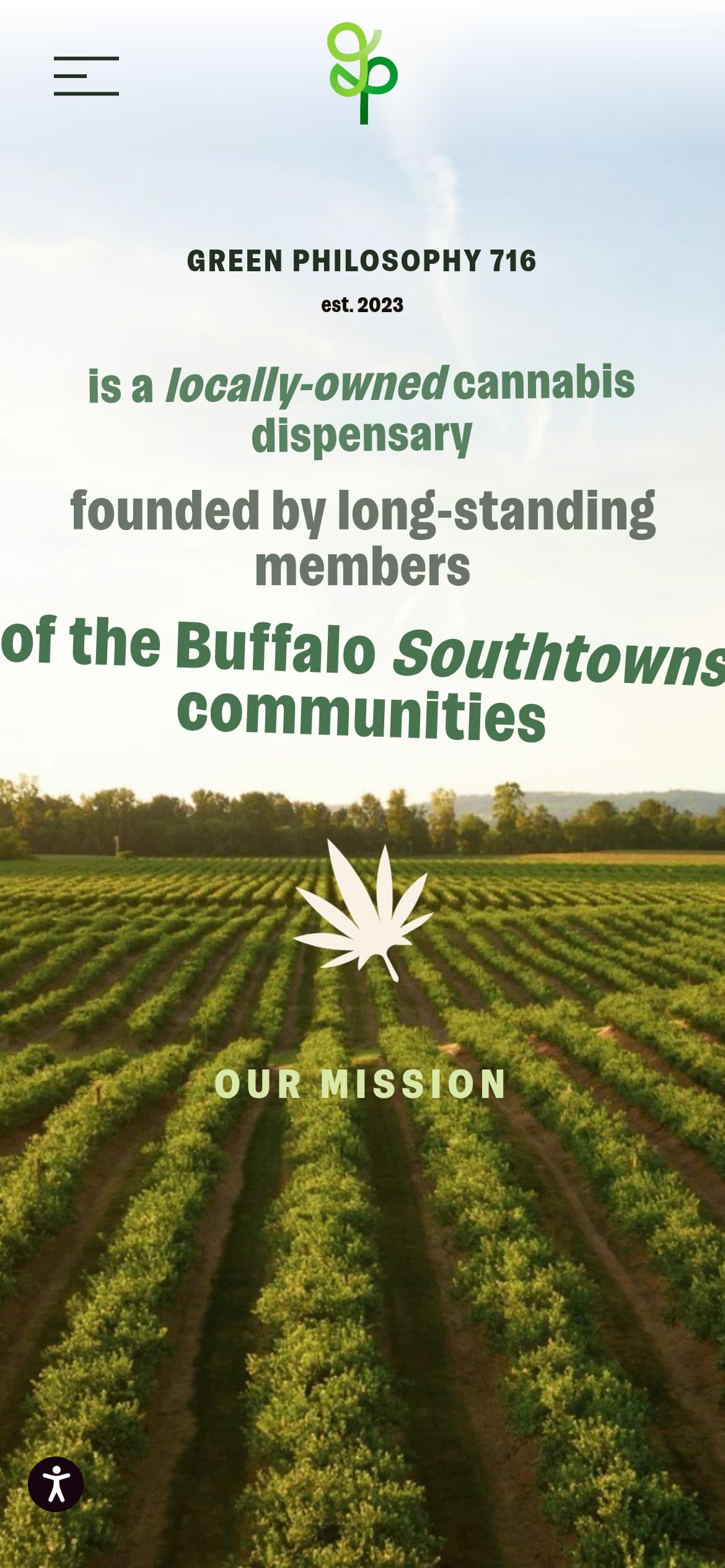 Green Philosophy 716 website preview